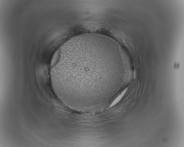 X0000091961347200709201335