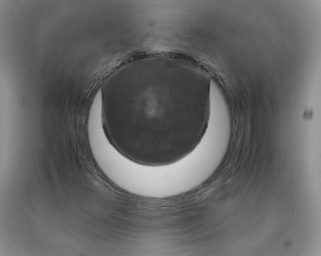 X0000091961348200709201335