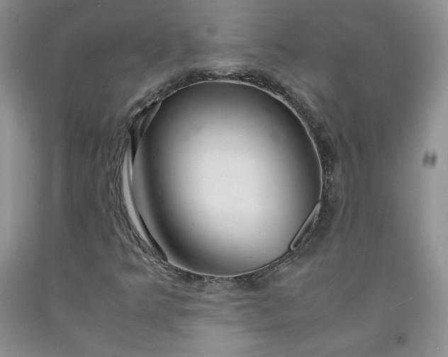 X0000091961349200709201335