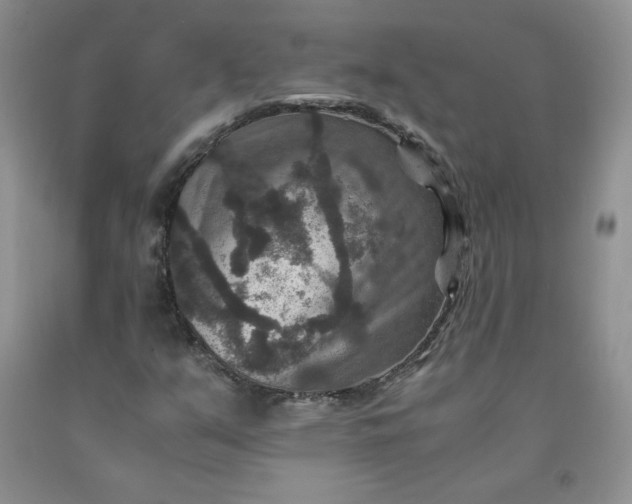 X0000091961351200709201335