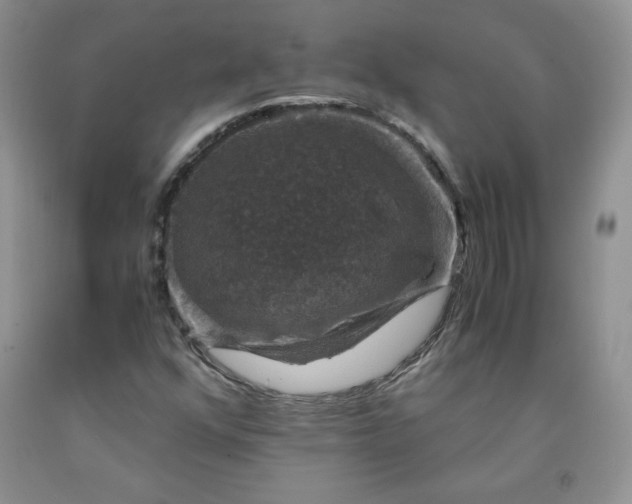 X0000091961352200709201335