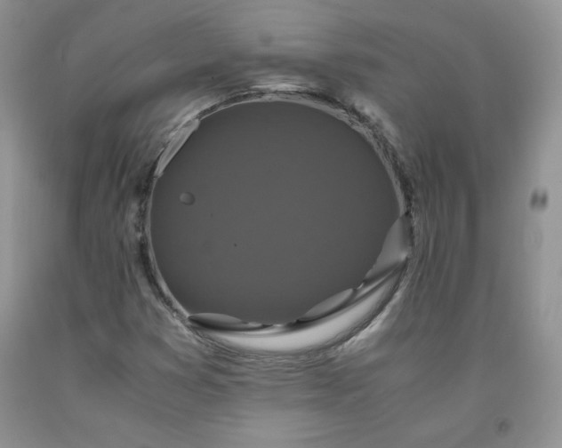 X0000091961353200709201335