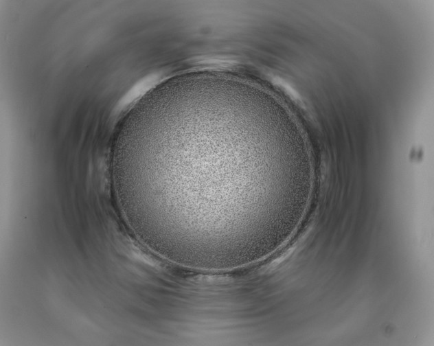 X0000091961354200709201335