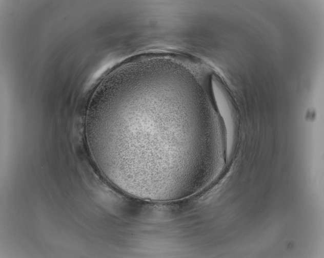 X0000091961355200709201335