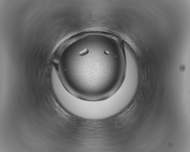 X0000091961356200709201335