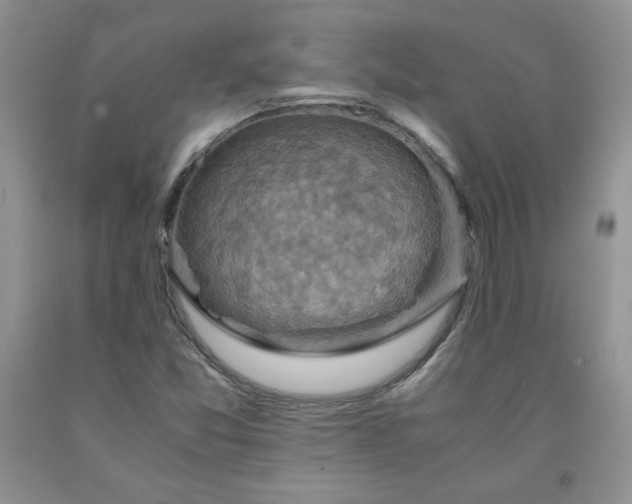 X0000091961357200709201335