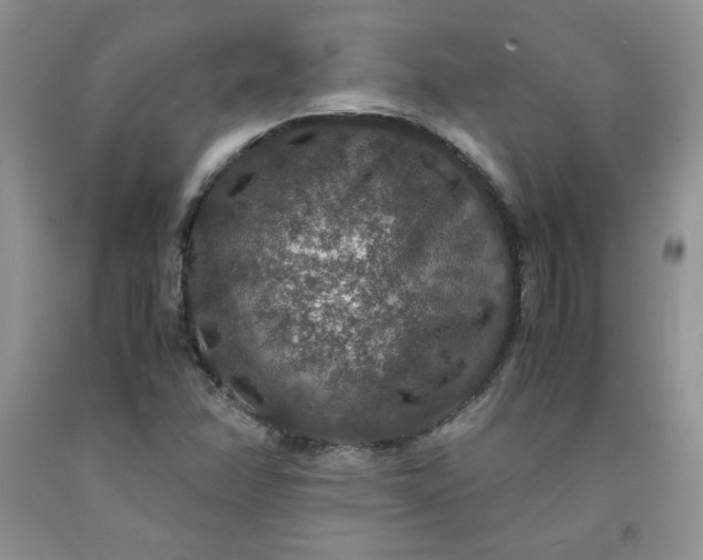 X0000091961358200709201335