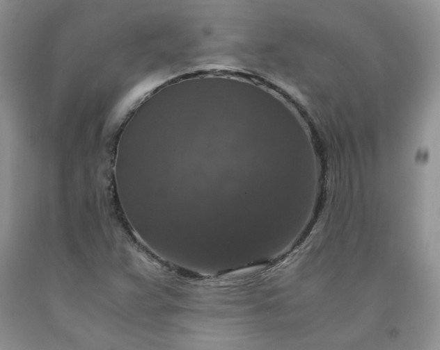 X0000091961359200709201335