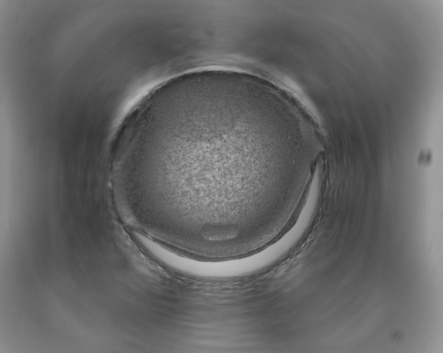 X0000091961360200709201335