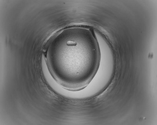 X0000091961361200709201335