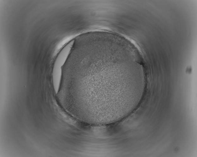 X0000091961363200709201335