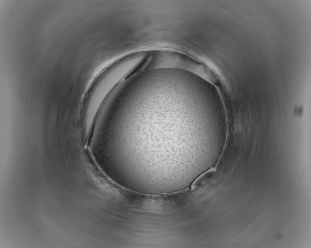 X0000091961364200709201335