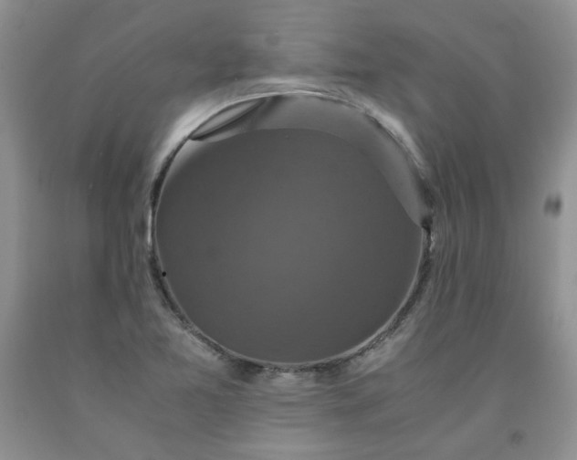 X0000091961365200709201335