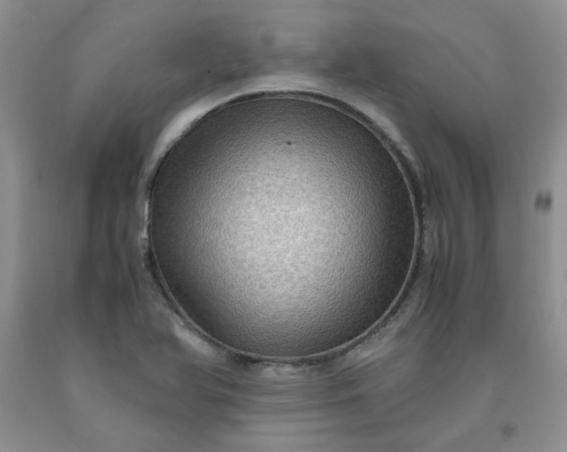 X0000091961366200709201335