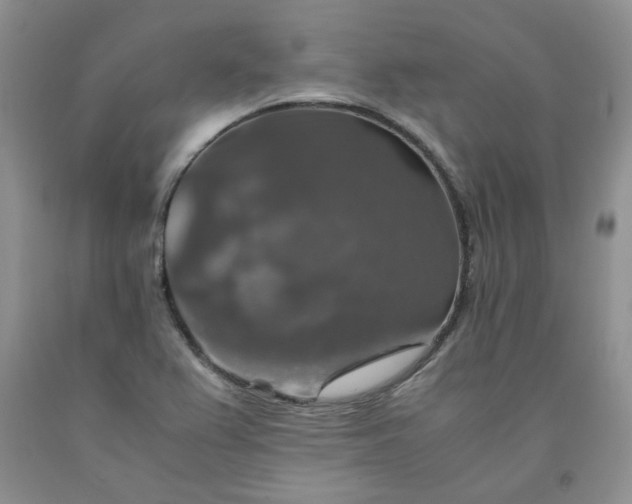 X0000091961367200709201335