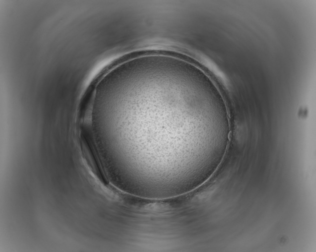 X0000091961368200709201335