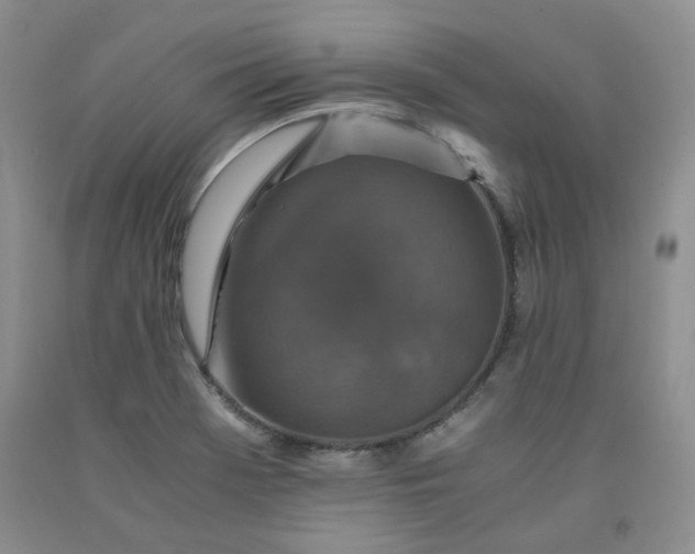 X0000091961369200709201335