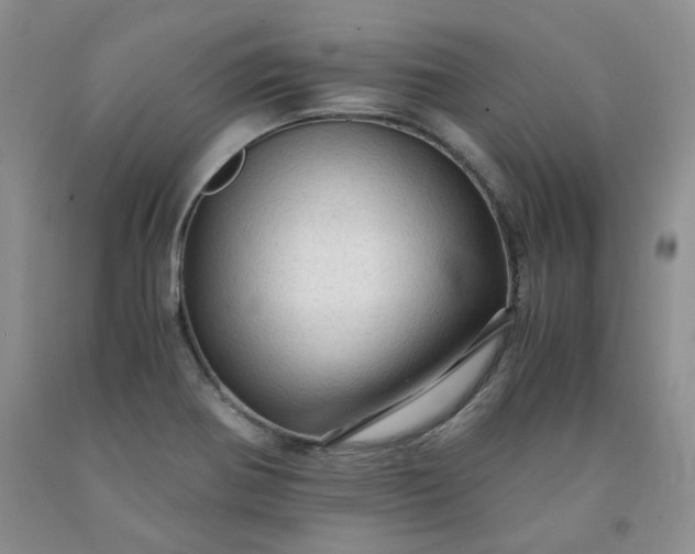 X0000091961370200709201335