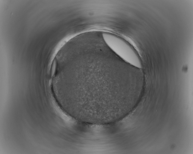 X0000091961371200709201335