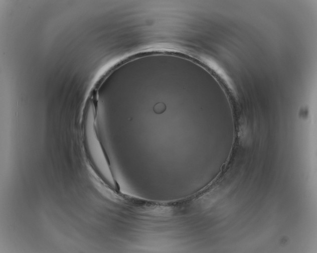 X0000091961372200709201335