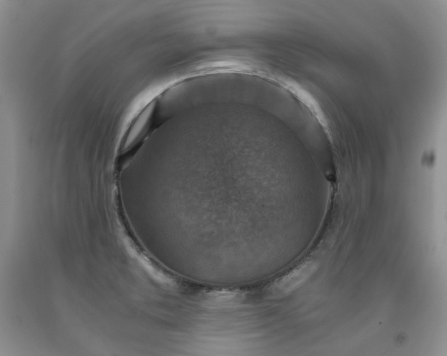 X0000091961373200709201335