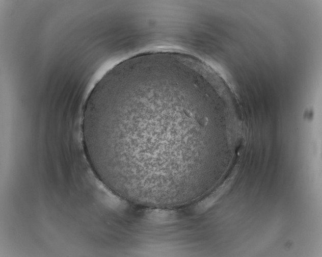 X0000091961374200709201335