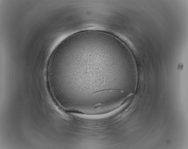 X0000091961375200709201335