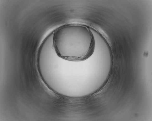 X0000091961376200709201335