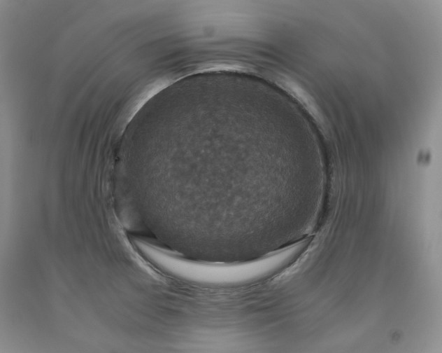 X0000091961377200709201335