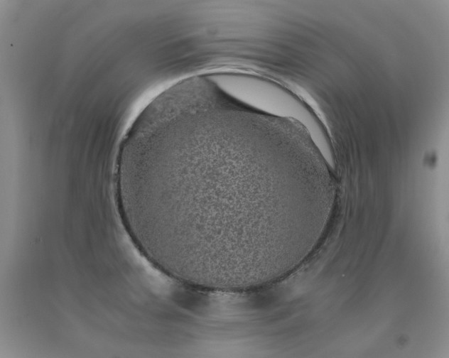 X0000091961379200709201335