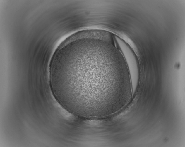 X0000091961380200709201335