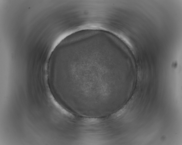 X0000091961382200709201334