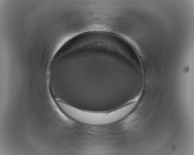 X0000091961383200709201334