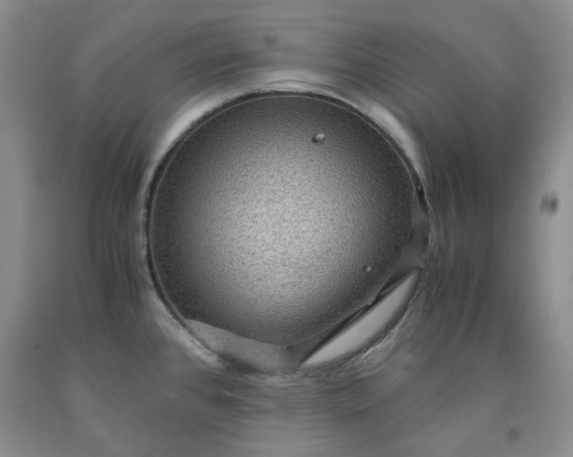 X0000091961384200709201334