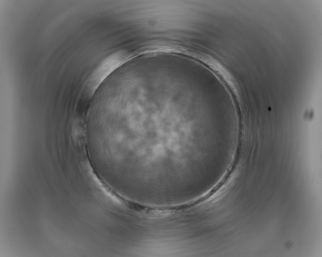 X0000091961385200709201334