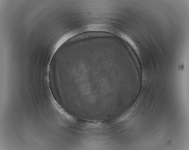 X0000091961386200709201334