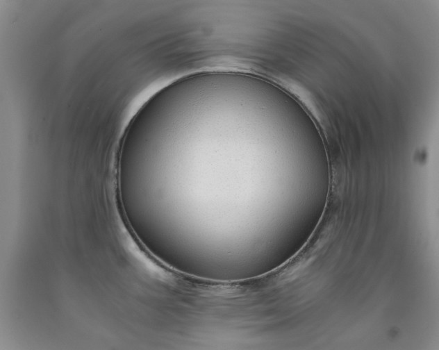 X0000091961387200709201334