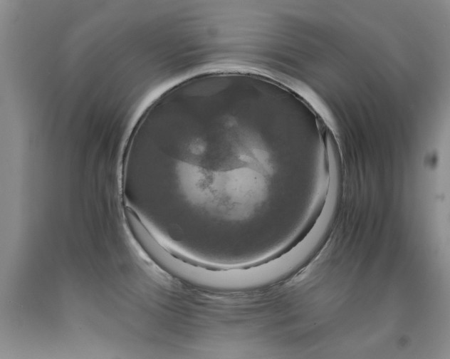 X0000091961388200709201334