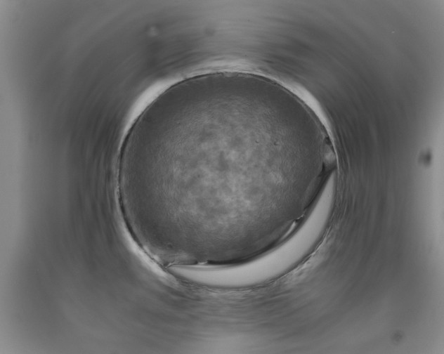 X0000091961389200709201334