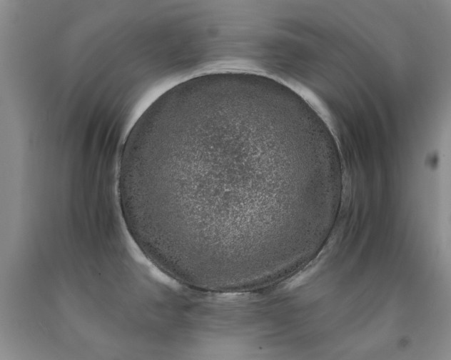 X0000091961390200709201334