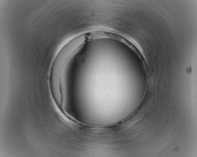 X0000091961391200709201334