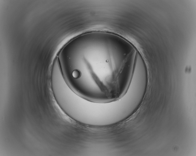 X0000091961392200709201334