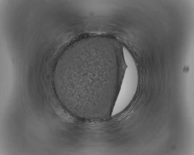 X0000091961393200709201334