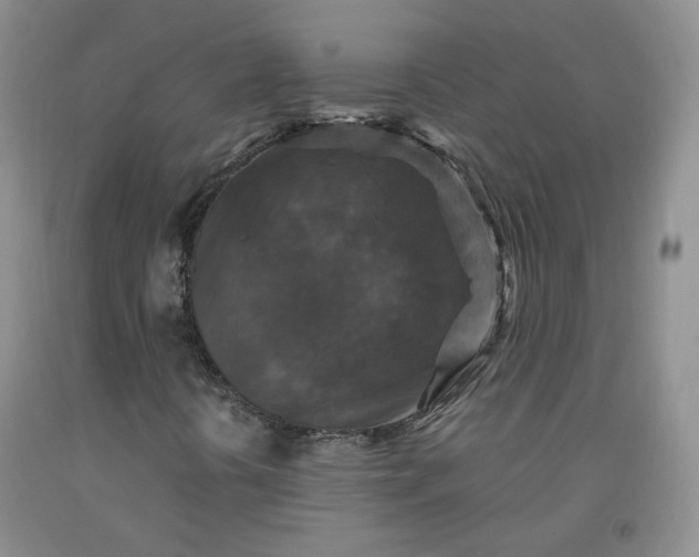 X0000091961394200709201334