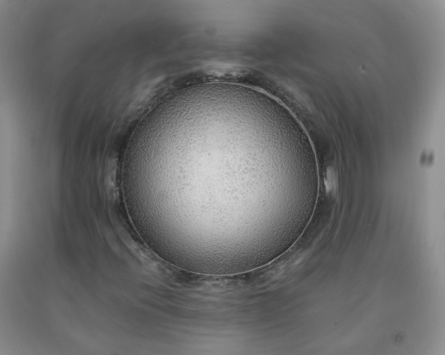 X0000091961396200709201334