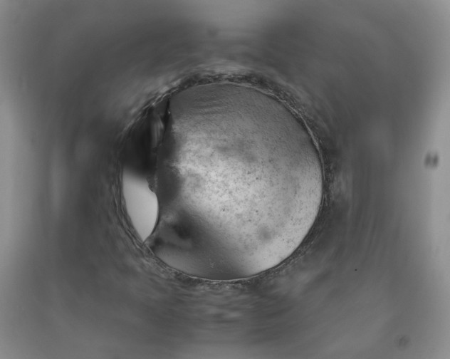 X0000091961397200709201334