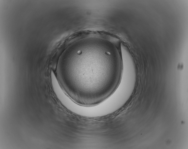 X0000091961398200709201334