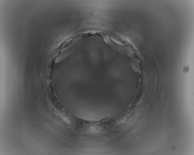 X0000091961399200709201334