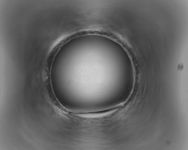 X0000091961400200709201334