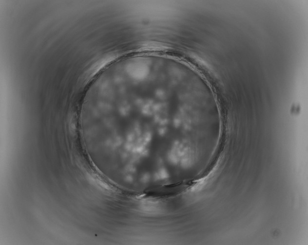 X0000091961401200709201334